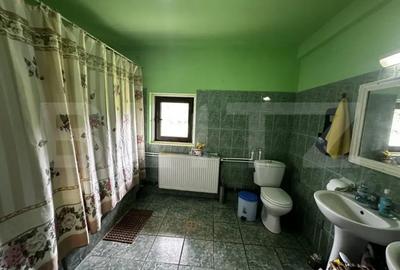 Casă cu 7 camere cu Teren 6000 Mp în Debarcader - 3
