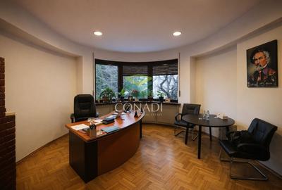 Apartament in vila zona Aviatorilor - 40