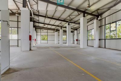 Spatii depozitare clasa A, zona Bucuresti Sud - Jilava - 3