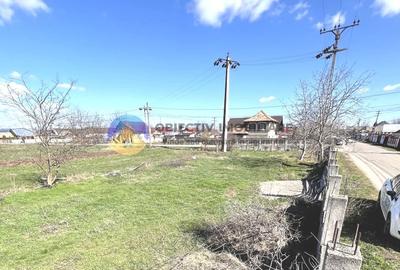 TEREN intravilan  comuna SAVINESTI - 7