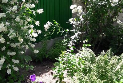 COMISION 0% - Casa solida din caramida, gaze - zona curata si linistita - 29