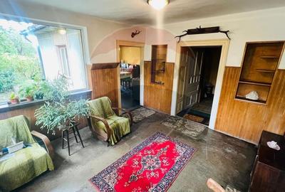 Casă Spațioasă cu teren Generos de 3416 mp în Tăuții Măgherăuș - 10