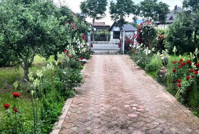 Casă cu 7 camere cu Teren 3000 Mp în Central - 18