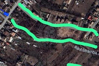 Teren de 12000 mp, în Păulești - 1