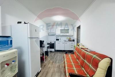 Casă individuală cu 3 camere cu Canalizare în Progresu - 12