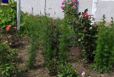 Casă cu 2 camere în Central - 3