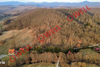 Spațiu comercial, în Bățani - 1