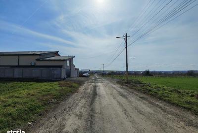 Spațiu comercial, în Valu lui Traian