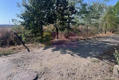 Teren Cornetu Strada Magnoliei- Pinului - 2