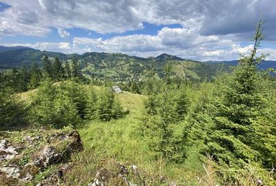 Teren de 11500 mp, în Exterior Vest - 5