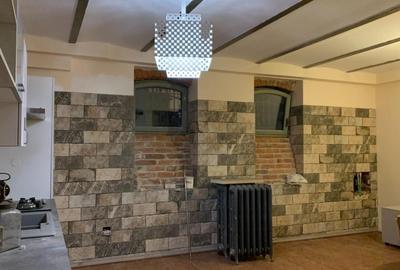 Casă individuală cu 18 camere cu Canalizare în Armeneasca - 9