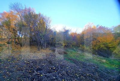 Teren intravilan 1628mp,cu panorama deosebita,in Feleacu - 5