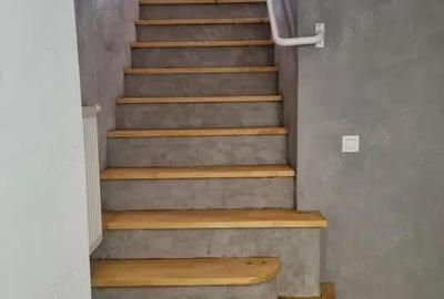 Inchiriere casa vila P+1 singur curte zona domeni Inchiriere casa vila P+1 singur curte zona domeni - 4