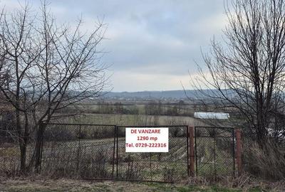 Spațiu comercial, în Coltău - 10