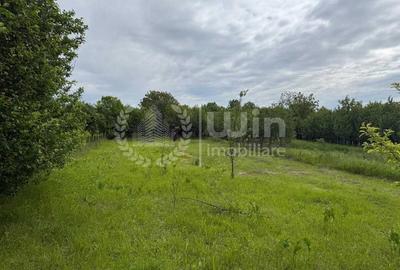 Teren intravilan cu casa renovabila | 2500mp teren | Front 21m | Aiton - 3