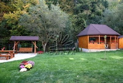 Vila de Vânzare lângă Castelul Bran – Oază de Liniște și Eleganță - 3