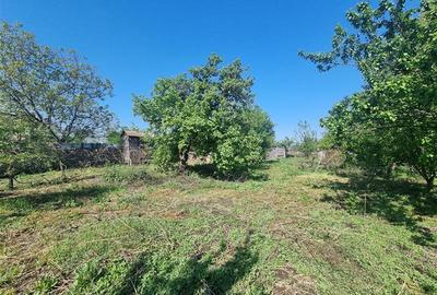 Teren intravilan de 14900 mp, în 1 Decembrie 1918 - 7