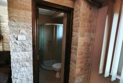 Spatiu birou, zona Stefan cel Mare, Radauti - 9