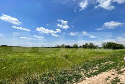 Teren Construcții intravilan de 4444 mp, în Aeroport - 3