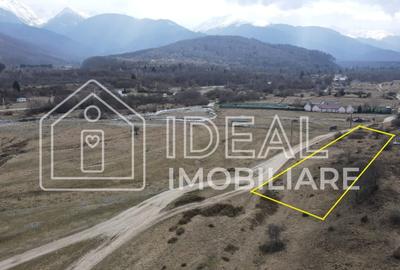 Teren agricol extravilan de 1500 mp, în Cârțișoara - 1