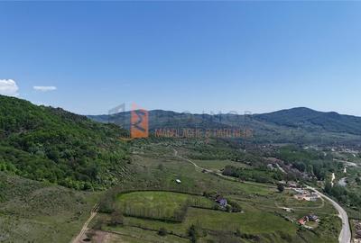 Teren intravilan zona Gura Bascei, com. Cislau - 4