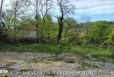 Teren de 992 mp, în Păușești - 10