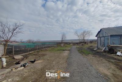 Teren Construcții intravilan de 2225 mp, în Mogoșești - 4