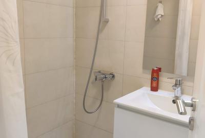 Unirii - Bd Decebal - Rond Alba Iulia, garsoniera pentru birouri - 8