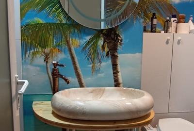 Vanzare spatiu productie 800 mp  D+P+Et1+M zona Rahova Bucuresti sector 5 - 22