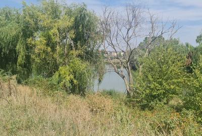 Teren Corbeanca Tamasi vsv de Paradisul verde 16000 mp deschidere lac - 4