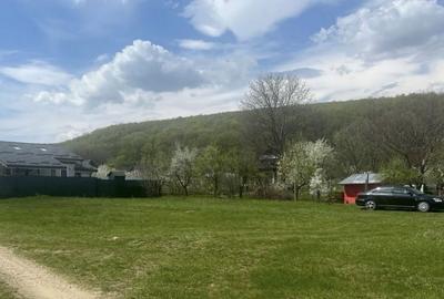 Spațiu comercial, în Mierea - 1