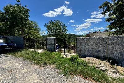 Teren Construcții intravilan de 7000 mp, în Sud-Vest - 1