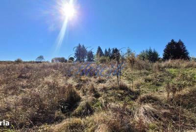 Teren de 4871 mp, în Râșca - 7