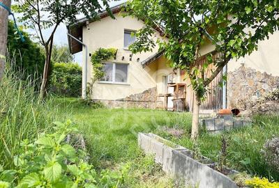 Casa cu teren 2052 mp in Saldabagiu de Munte - 3