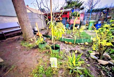 Apartament cu 1 cameră, zona Bălcescu, spațios, cu grădină - 2