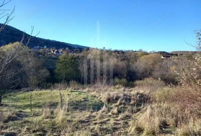 Teren de 363 mp, în Fântânele - 4