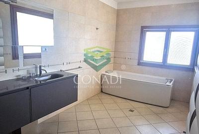 Iancu Nicolae, vila de inchiriat, 5 camere - 11