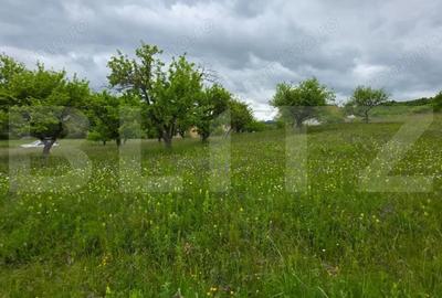 Teren intravilan, toate utilitatile, 9 ari intravilan, zona Unirea - 6