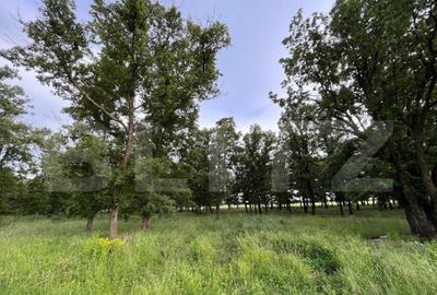 Teren par?ial intravilan 23.500 mp, apa, curent ?i suprav - 4