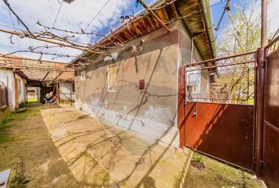 Casă cu 2 camere cu Teren 4500 Mp în Cărand - 16