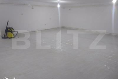 Spațiu comercial, de 168 mp, în Mehala - 6