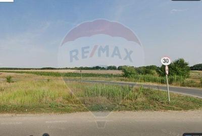 Oportunite - Gruiu Teren intravilan 4,800 mp / 100 m de A3 - 4