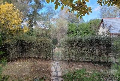 CABANA  LA 3 INSULE CU  IESIRE LA MURES LA PRET DE GARSONIERA CABANA  LA 3 INSULE CU  IESIRE LA MURES LA PRET DE GARSONIERA - 6