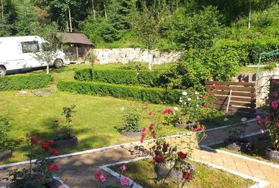 Casă cu 4 camere cu Teren 1228 Mp în Vama - 1