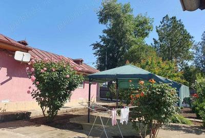 Casă cu 6 camere în Independența - 8