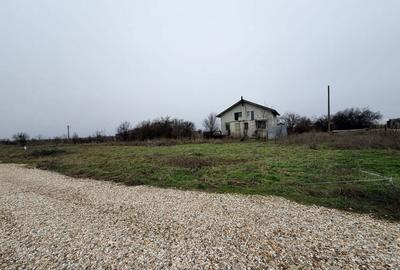 Teren de 500 mp, în Copăceni - 3