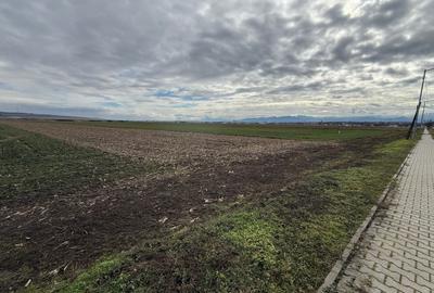 Teren Construcții intravilan de 9600 mp, în Șura Mică - 4