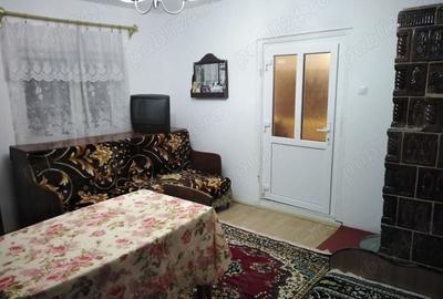 Inchiriez vila, 50 ari de teren, grajd, pastravarie, gradina cu pomi fructiferi - 3