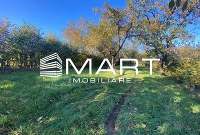 Teren extravilan 3200mp zona Tropinii Vechi