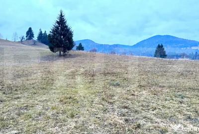 Teren de 2500 mp, în Colibița - 6